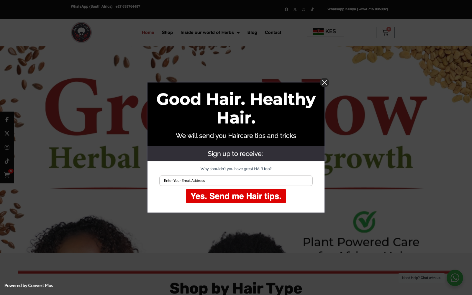 Born2Fro website — Natural Hair Care